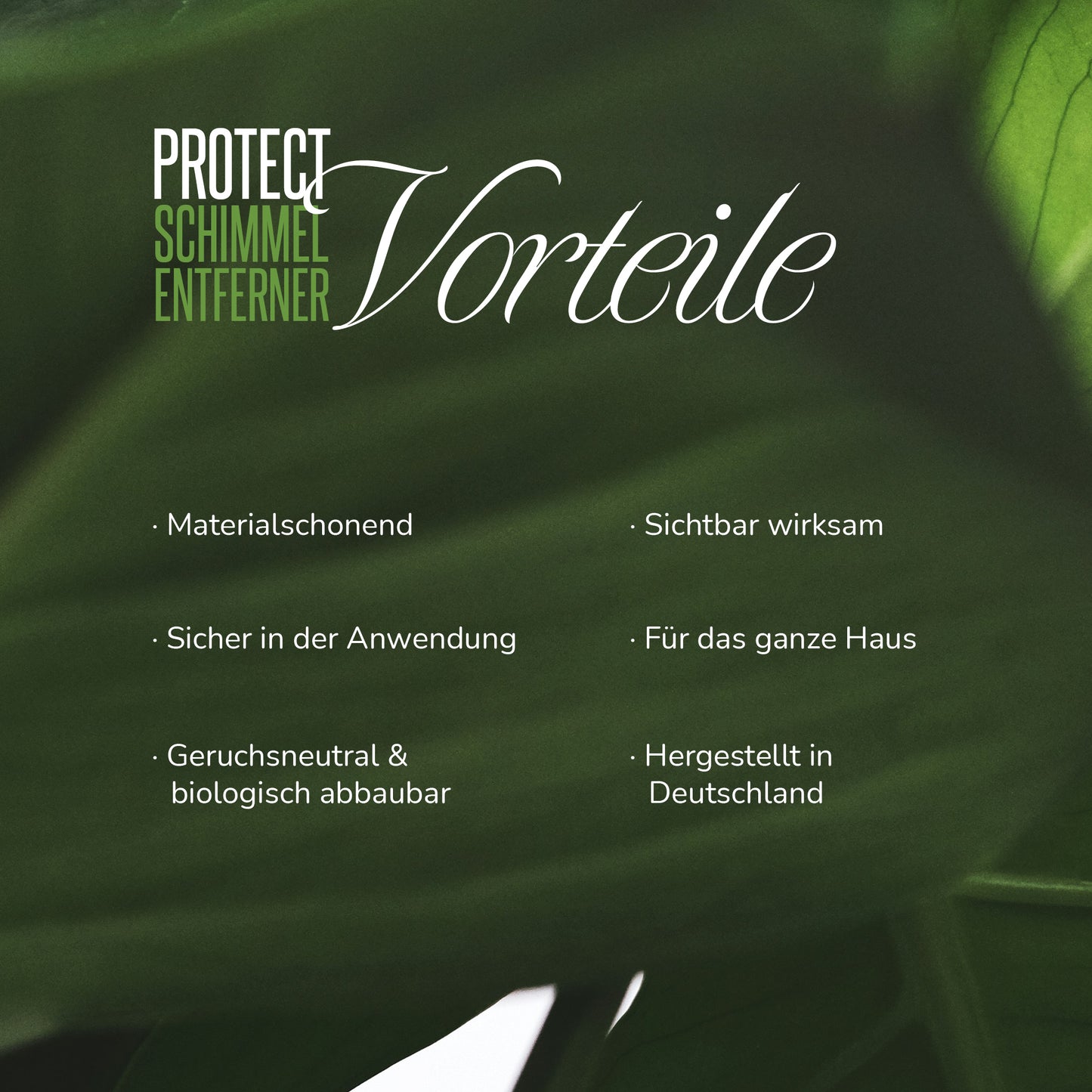 BioSanitas Schimmelentferner