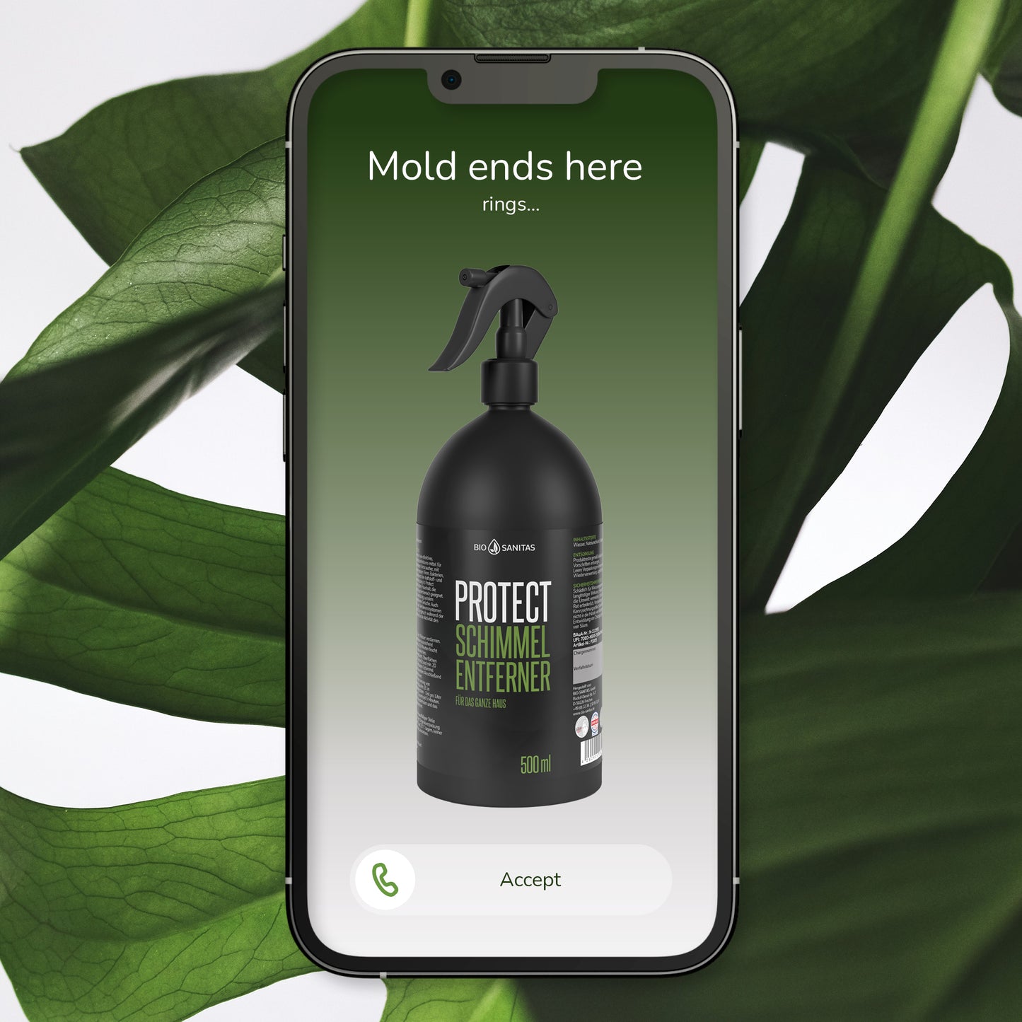 BioSanitas Schimmelentferner