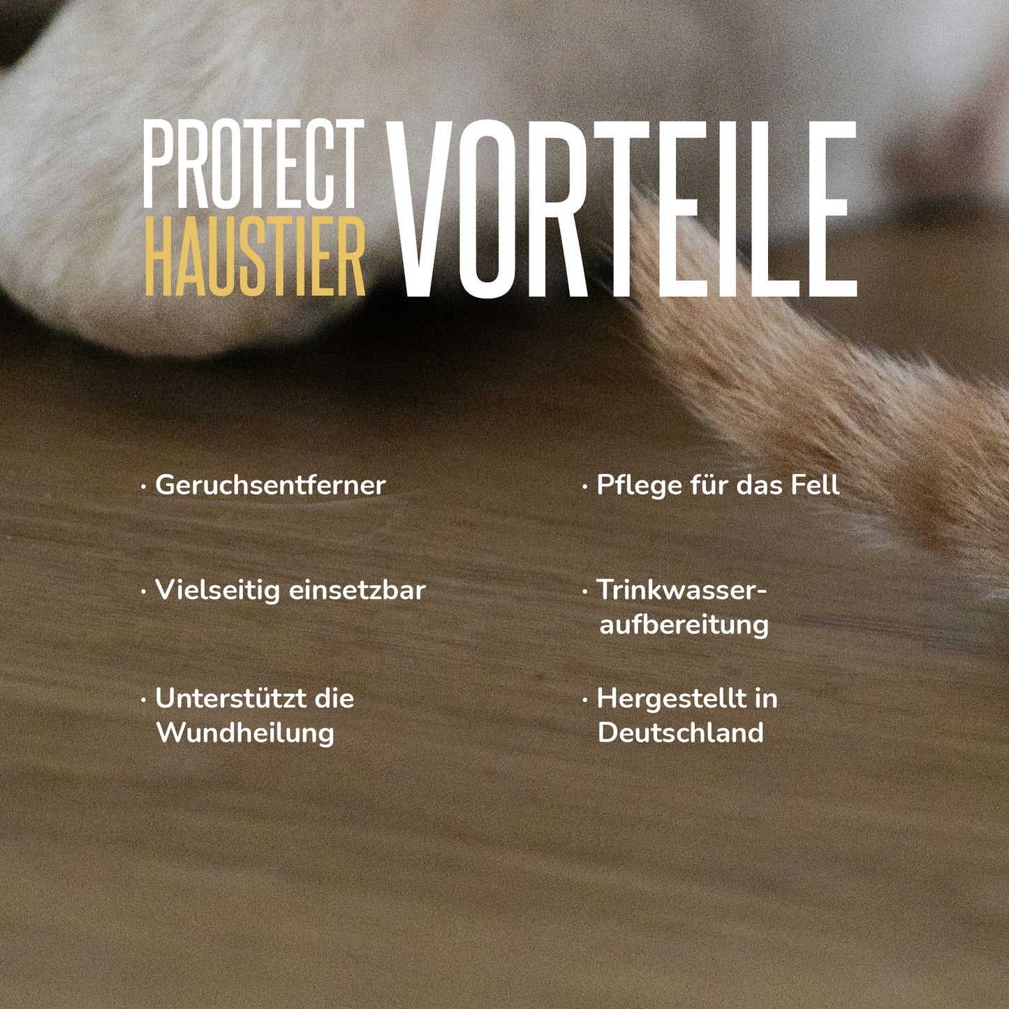 BioSanitas Protect HAUSTIER