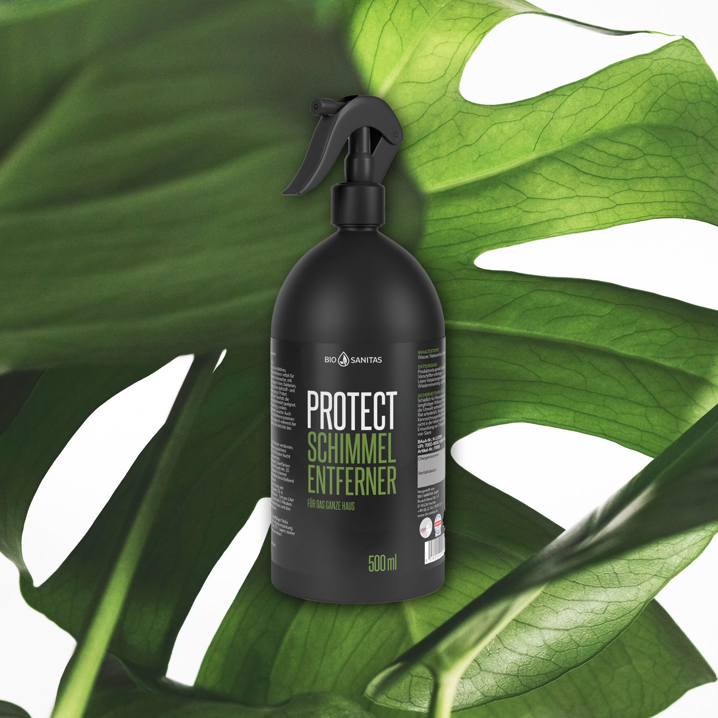 BioSanitas Schimmelentferner